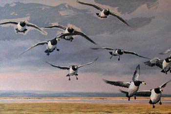 Paintings of Wildfowl - Geese
